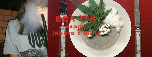 индика Абаза