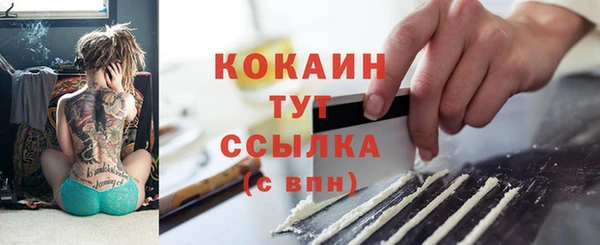 индика Абаза