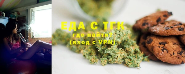 индика Абаза