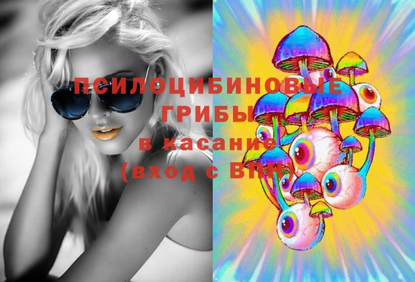 индика Абаза