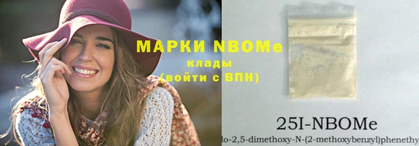 индика Абаза