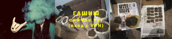 индика Абаза