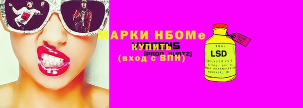 индика Абаза