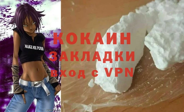 индика Абаза