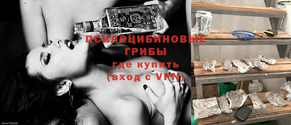 индика Абаза
