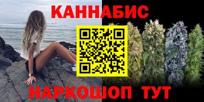 гидропоника Кингисепп
