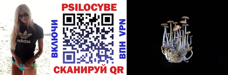 Галлюциногенные грибы Cubensis Кудымкар