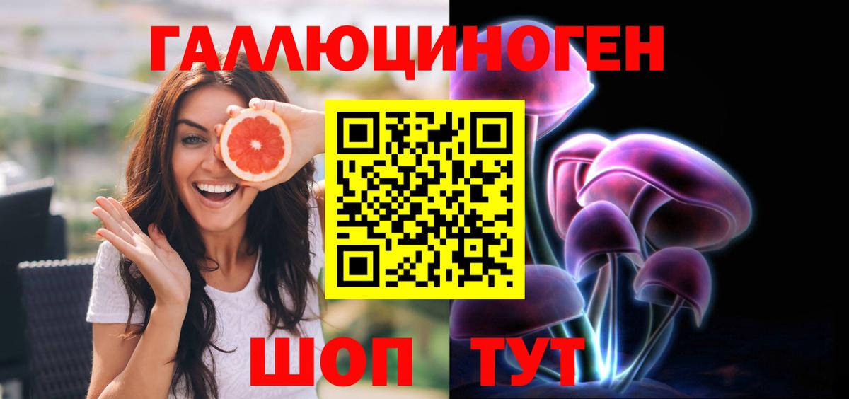 Галлюциногенные грибы Psilocybe Кудымкар