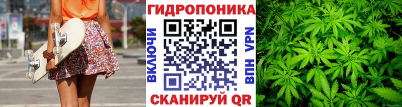 Бошки Шишки семена  Кудымкар 
